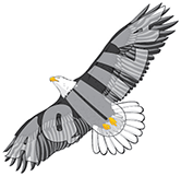 Aquila.Logo