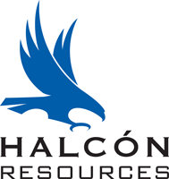 Halcon.logo